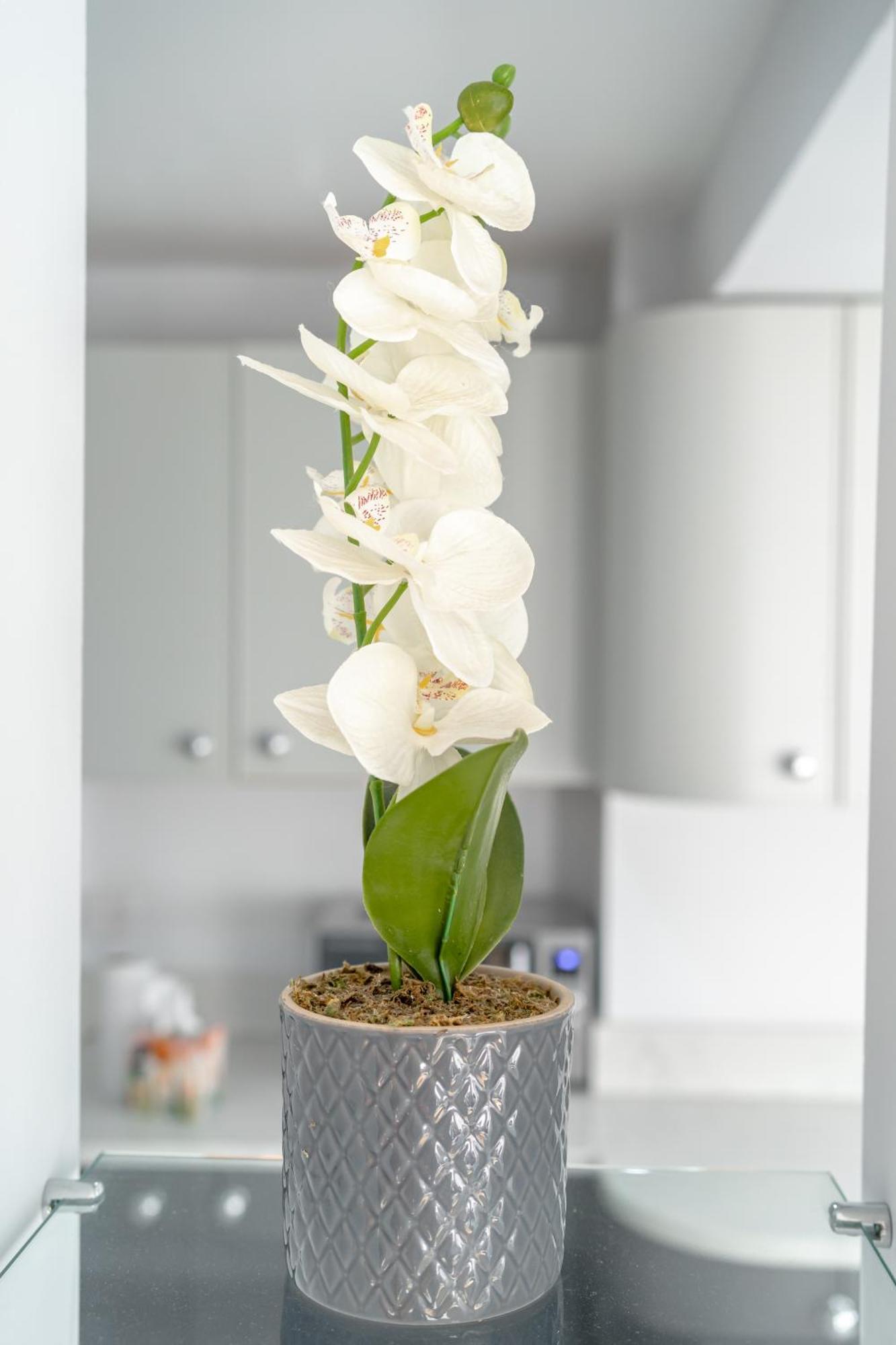 London & Forest Loughton  Ngoại thất bức ảnh